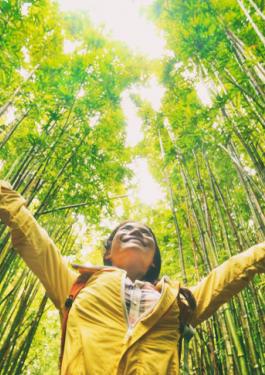 Sourcing Eco-Friendly Products in Asia: A 3-Step Process